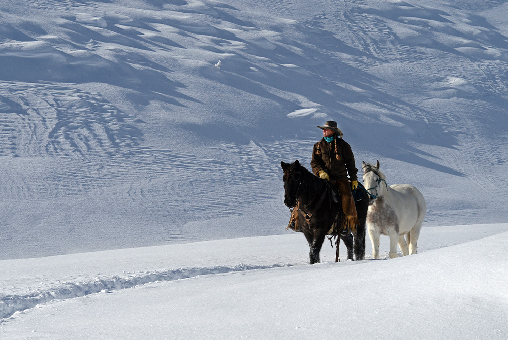 Winter Horseback Riding