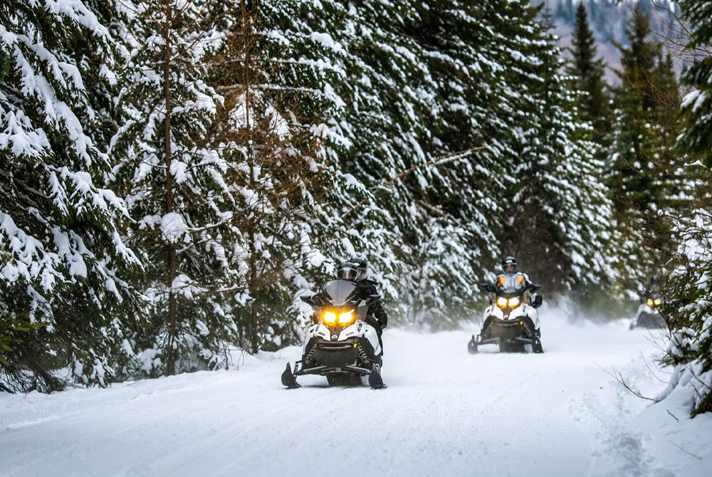 Motos de nieve